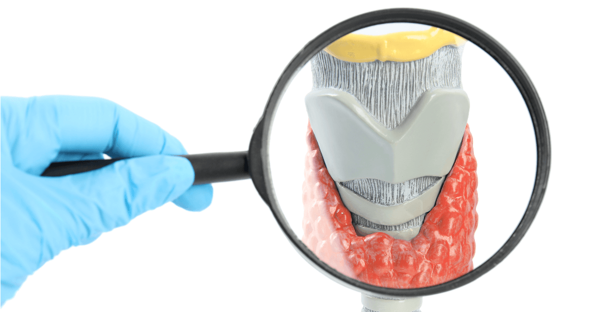 Descubra como o hipertireoidismo afeta a saúde óssea, os riscos associados e as medidas para manter ossos fortes. Saiba mais aqui.