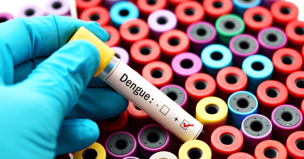 Descubra o que é a dengue hemorrágica, seus sinais, sintomas e como prevenir esta condição séria. Um guia essencial para a saúde pública.