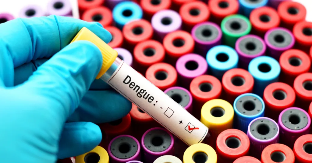 Descubra o que é a dengue hemorrágica, seus sinais, sintomas e como prevenir esta condição séria. Um guia essencial para a saúde pública.